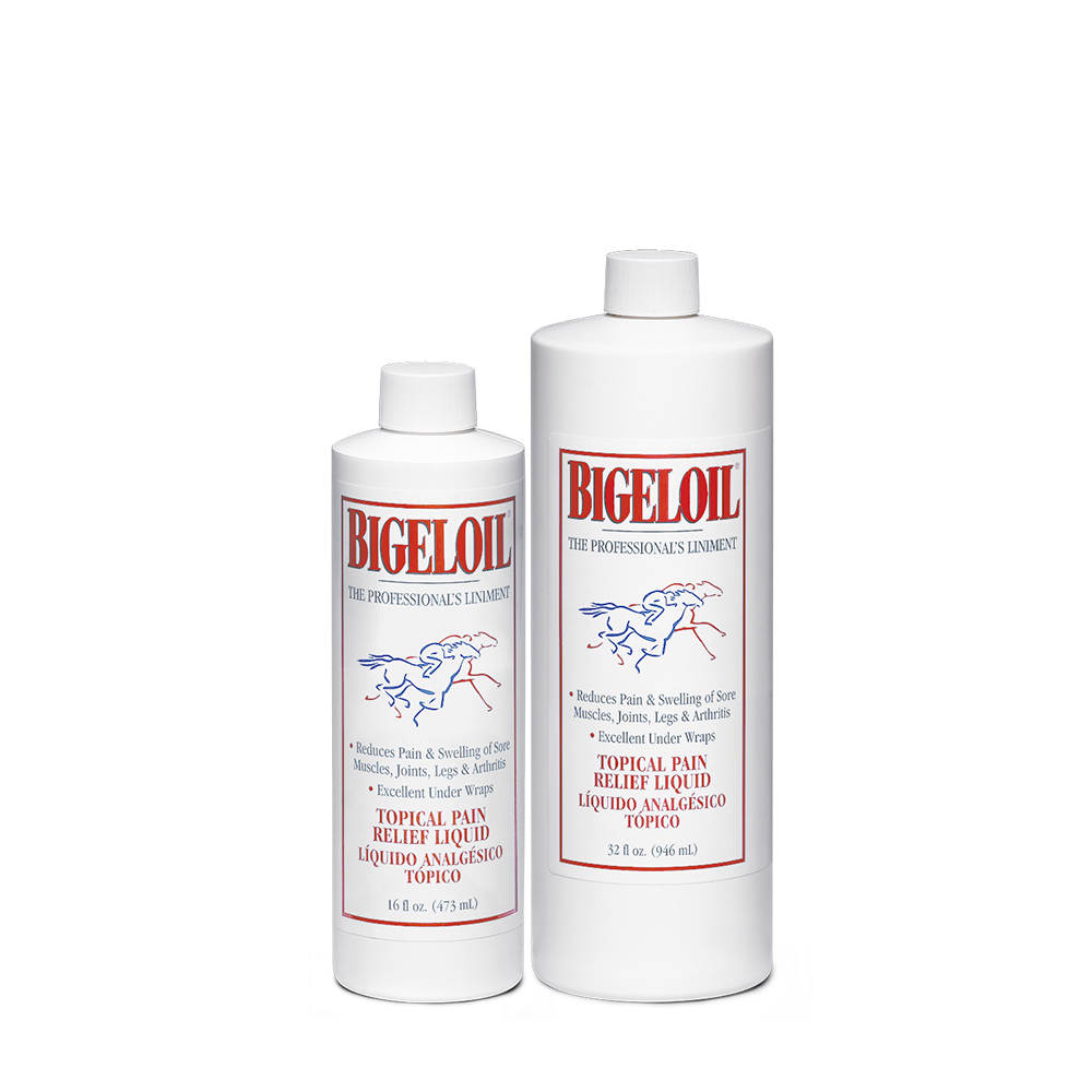 BIGELOIL 16 OZ