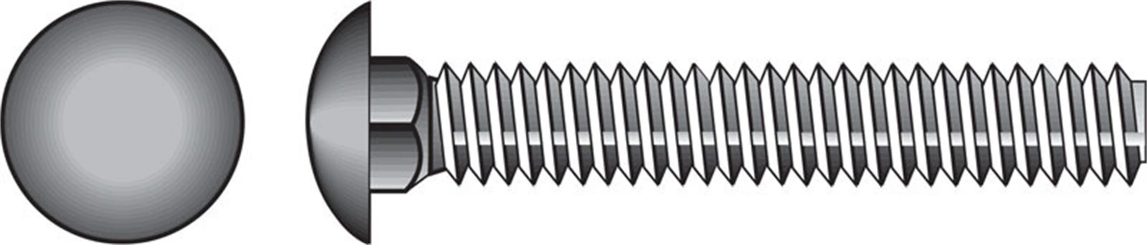 832562 18-8 CARR SC 5/16X1