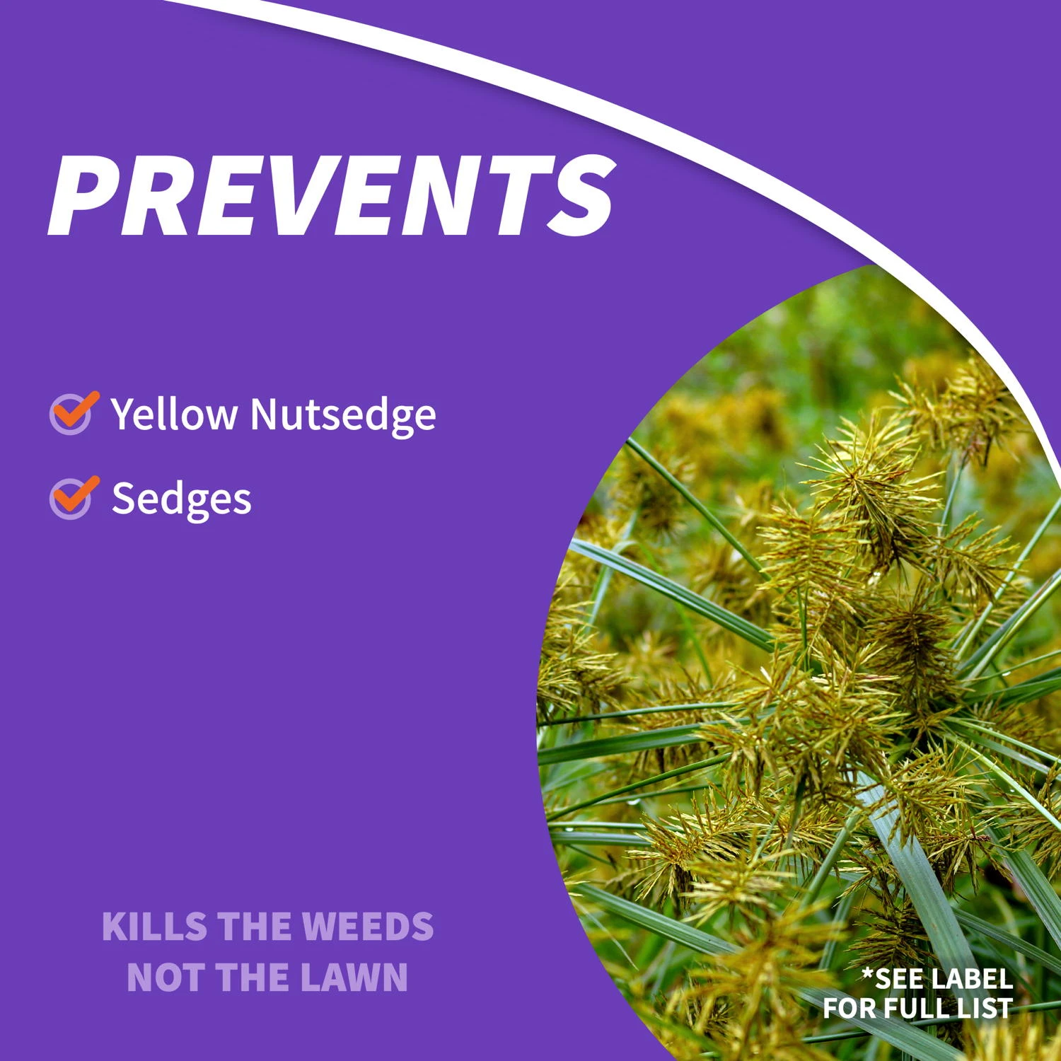 BONIDE Sedge Ender Concentrate