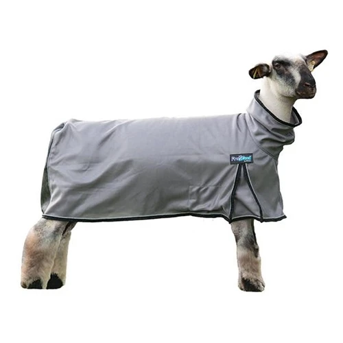 Procool™ Medium Sheep Blanket With Reflective Piping In Gray
