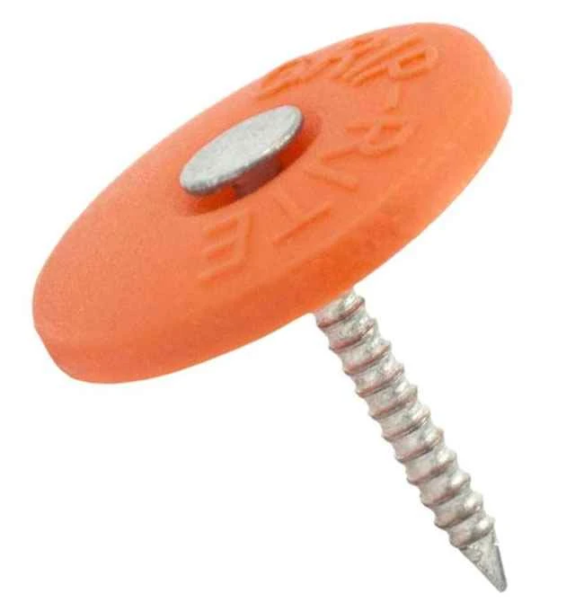 2" ELECTRO GALVANIZED PLASTIC CAP NAILS (1 LB)