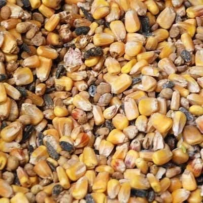 CORN AND SOYBEAN DEER FEED