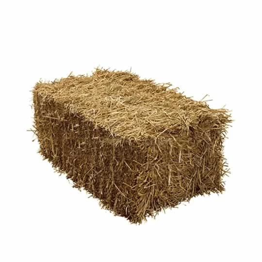 WHEAT STRAW