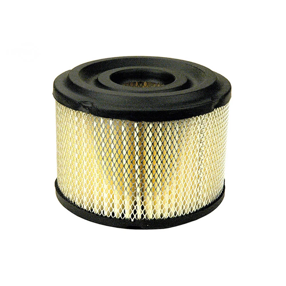 PAPER AIR FILTER FOR B&S REPL BRIGGS & STRATTON: 390492
EMGLO: L54E