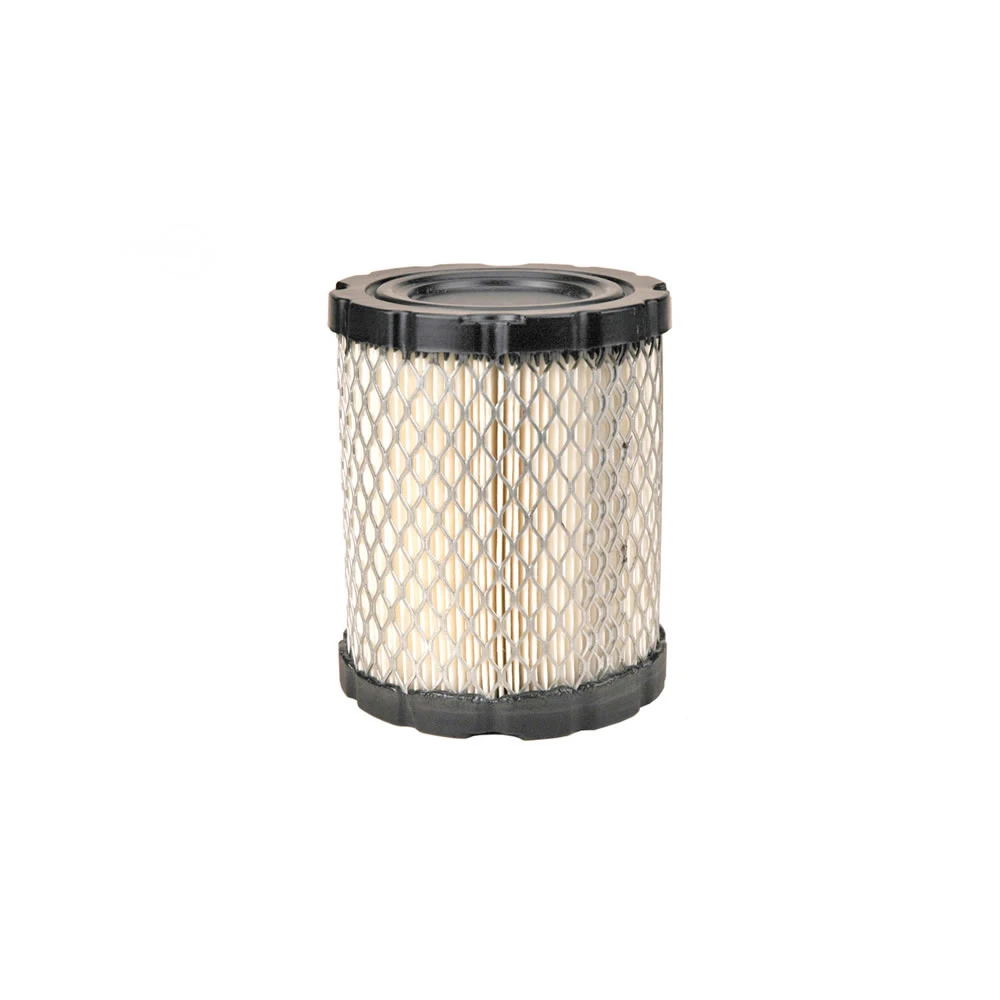 AIR FILTER B&S 798897