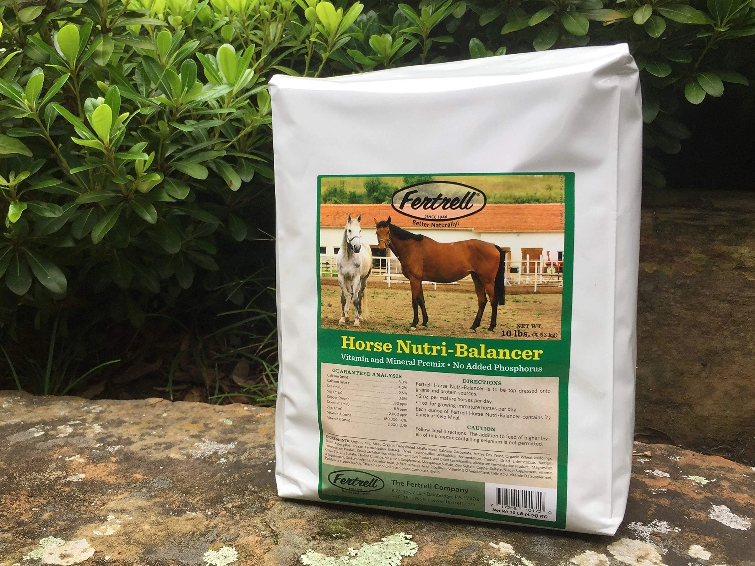 HORSE NUTRIBALANCER 10LB