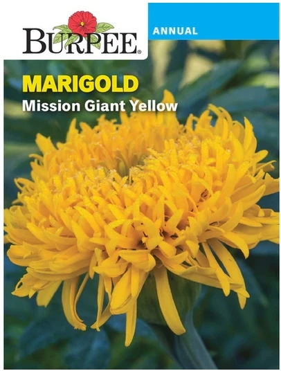 BURPEE Marigold Mission Giant Ye