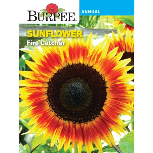 BURPEE Sunflower Fire Catcher
