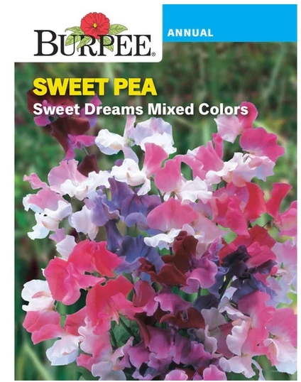 Sweet Pea; Sweet Dreams Mixed Co