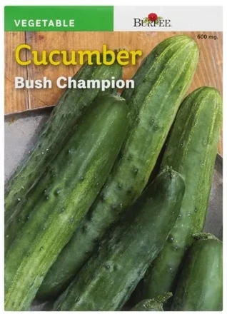 BURPEE Cucumber Bush Champion
