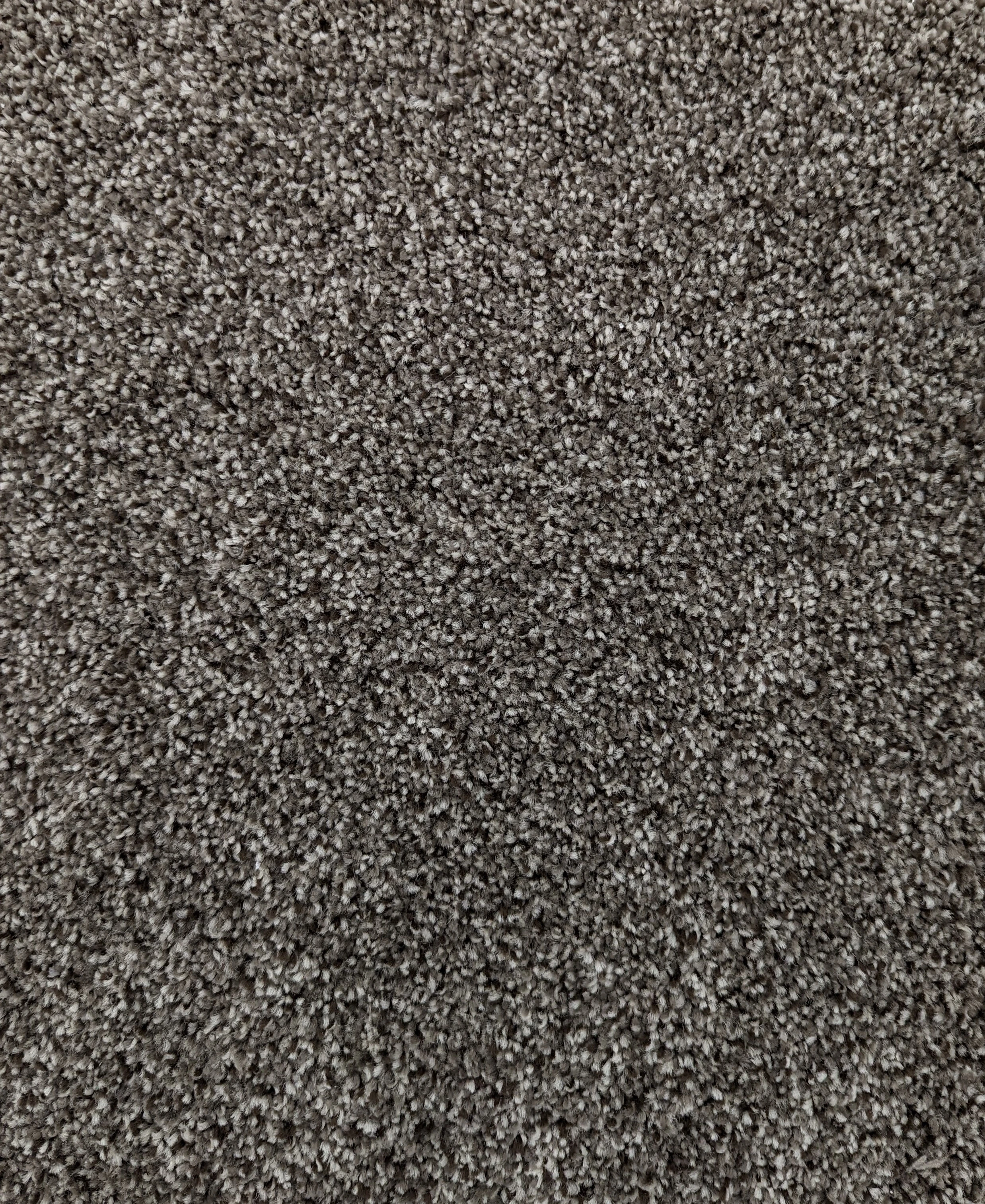 QUINN SLICK 50 #244 MONACO CARPET