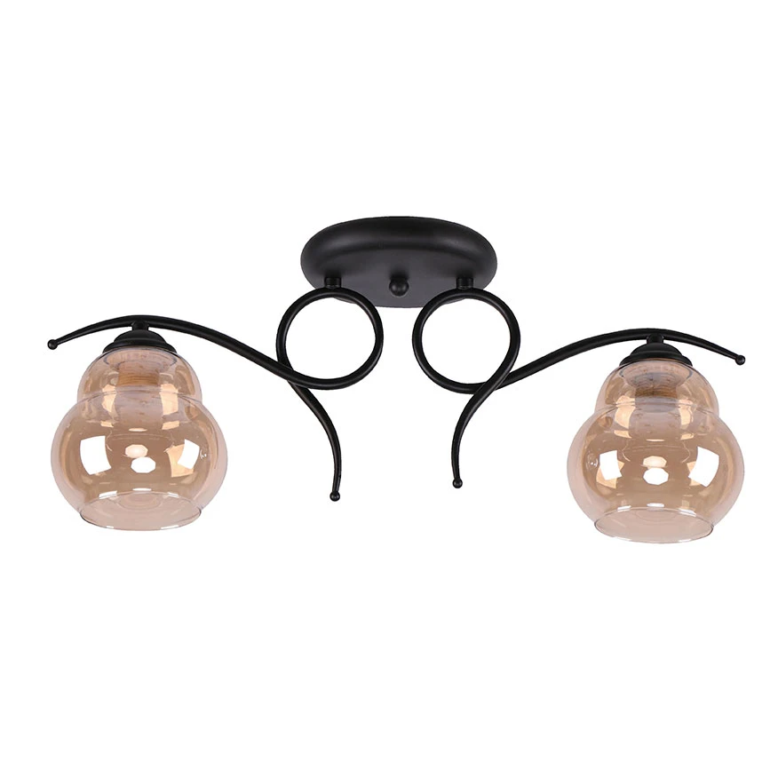 2L CEILING LAMP MATTE-BLACK 40W