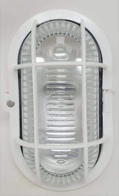 1L OUTDOOR WALL LAMP WHITE 12W