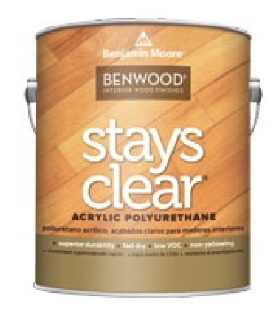 BENWOOD STAYS CLEAR GLOSS QT