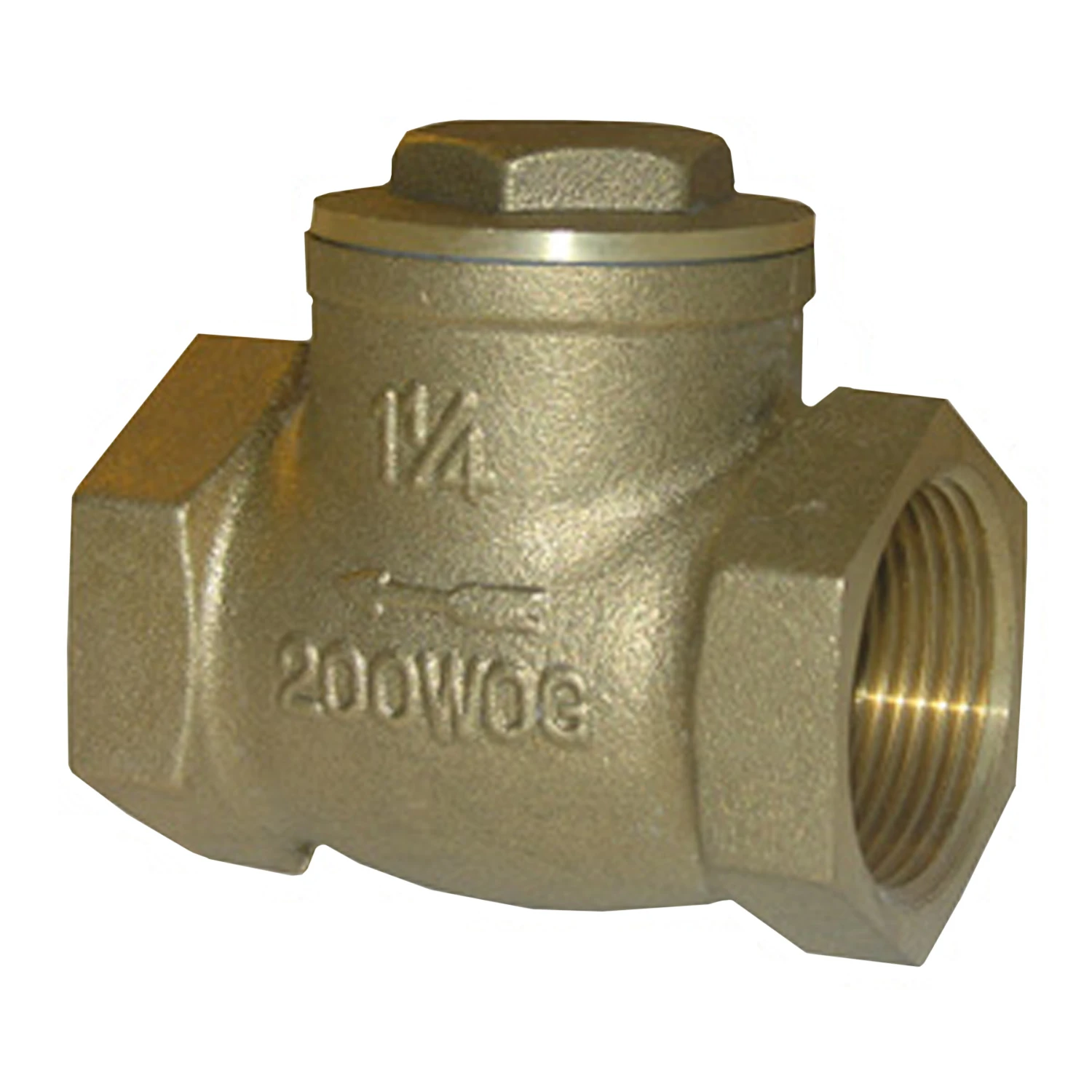 Threaded Swing Check Valve, Brass, 1/2 In.
