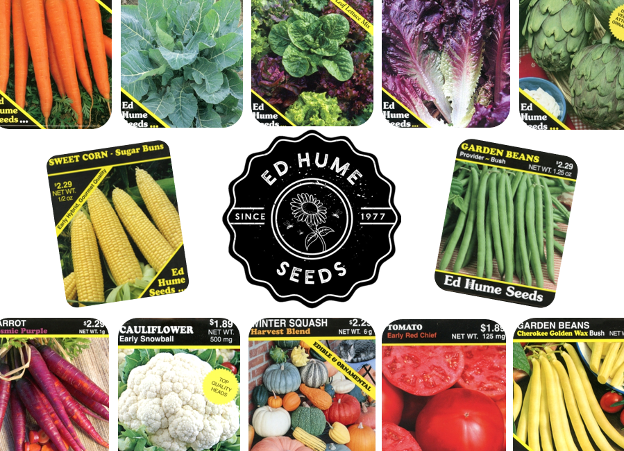 Ed Hume Seeds (Assorted)