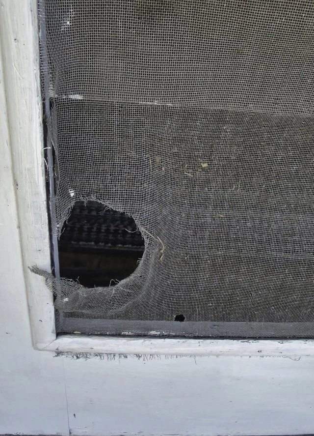 Screen Door Replacement and Repairs