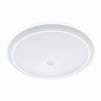 9" WHT Disk Light