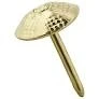 831120464 Brass Upholstery Nail - Durable And Elegant Finish