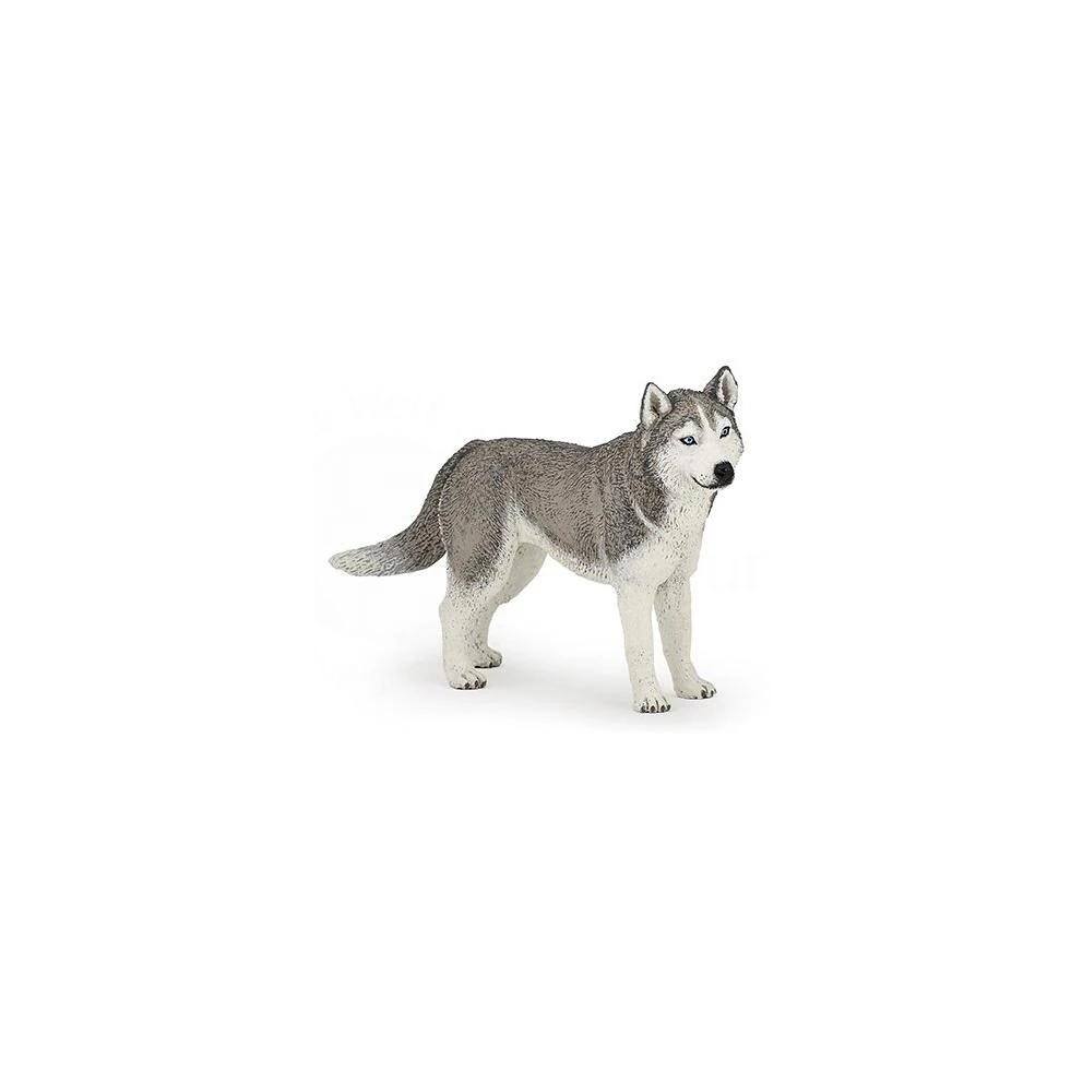 Siberian Husky Toy Figure 54035 - Realistic Dog Figurine For Kids And Collectors