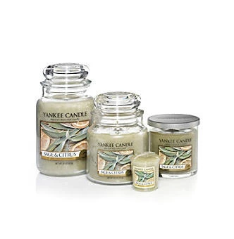 Yankee Candle Samplers Sage & Citrus Votive Candle, Med Green