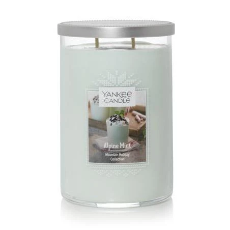Yankee Candle® Large 2-Wick Tumbler Candle, Alpine Mint