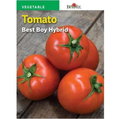 Tomato Best Boy Hybrid Seed