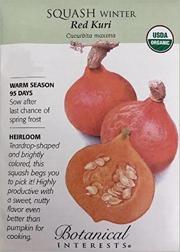 Organic Red Kuri Winter Squash Seeds - 2 Grams For Home Gardening