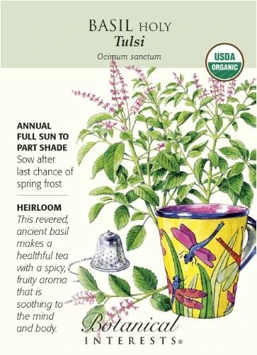 Organic Tulsi Holy Basil Seeds - 300 mg - Heirloom