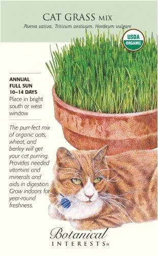Organic Cat Grass Mix Seeds - 45 Grams For Healthy Feline Nutrition