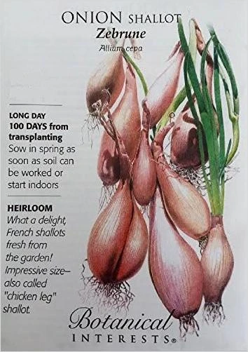 Zebrune Shallot Onion Seeds - 350 mg