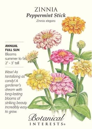 Peppermint Stick Blend Zinnia Seeds - 750 mg