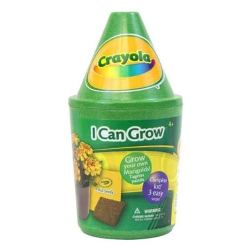 Marigold Garden Grow Kit Planter - Green - Ideal For Kids