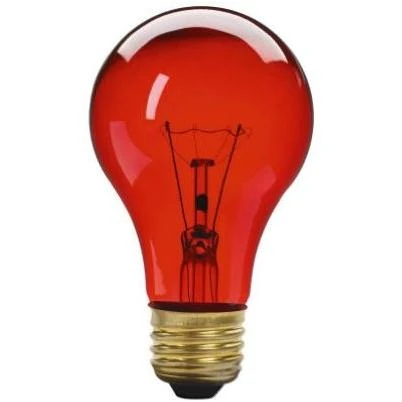 70804 25 Watts Transparent Red Party Light Bulb- Pack Of 6