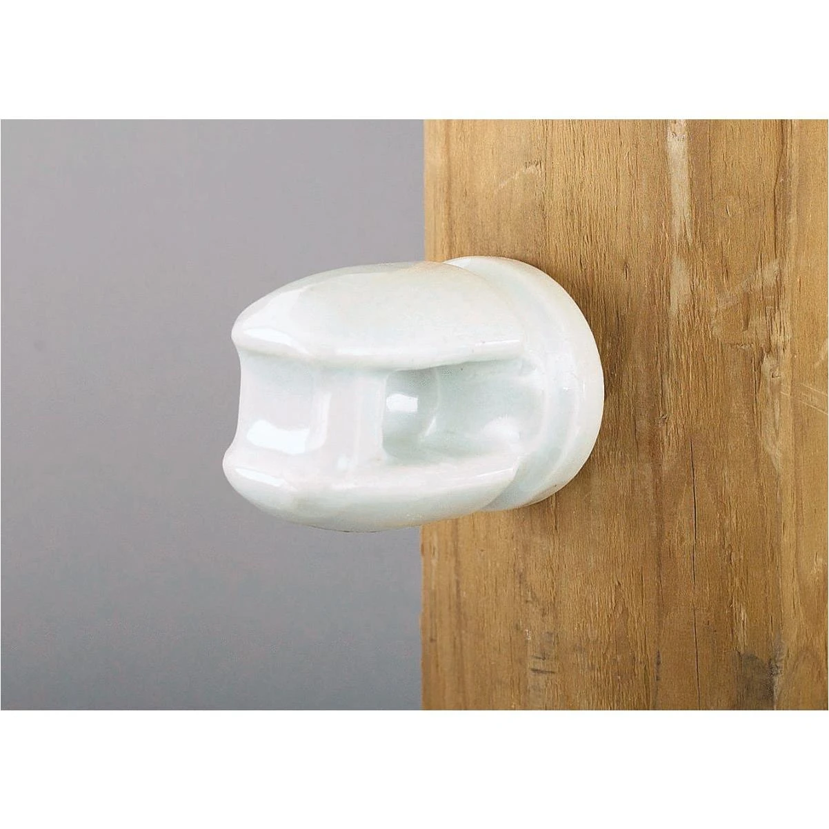 Dare Screw-In White Porcelain Electric Fence Insulator