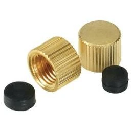 VACCAPW2B Large Valve Drain Cap