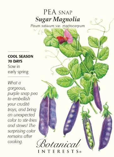 Magnolia Sugar Snap Pea Seeds - 14 Grams