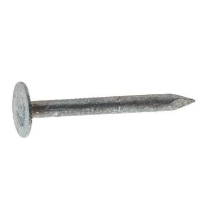 #11 x 1-3/4 in. Electro-Galvanized Steel Roofing Nails (5 lb.-Pack)