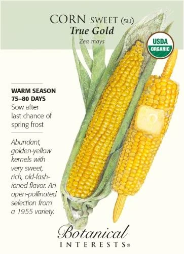 Organic True Gold Sweet Corn Seeds - 9 grams