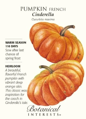 Cinderella French Pumpkin Seeds - 3 grams - Heirloom