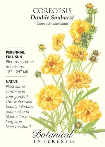Double Sunburst Coreopsis Seed - 800 Milligrams For Vibrant Garden Blooms