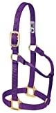 Weaver Original Non-Adjustable Nylon Halter Small Horse/Weanling Draft Purple