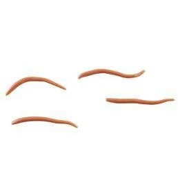 BAIT ANGLE WORM GULP NATURL