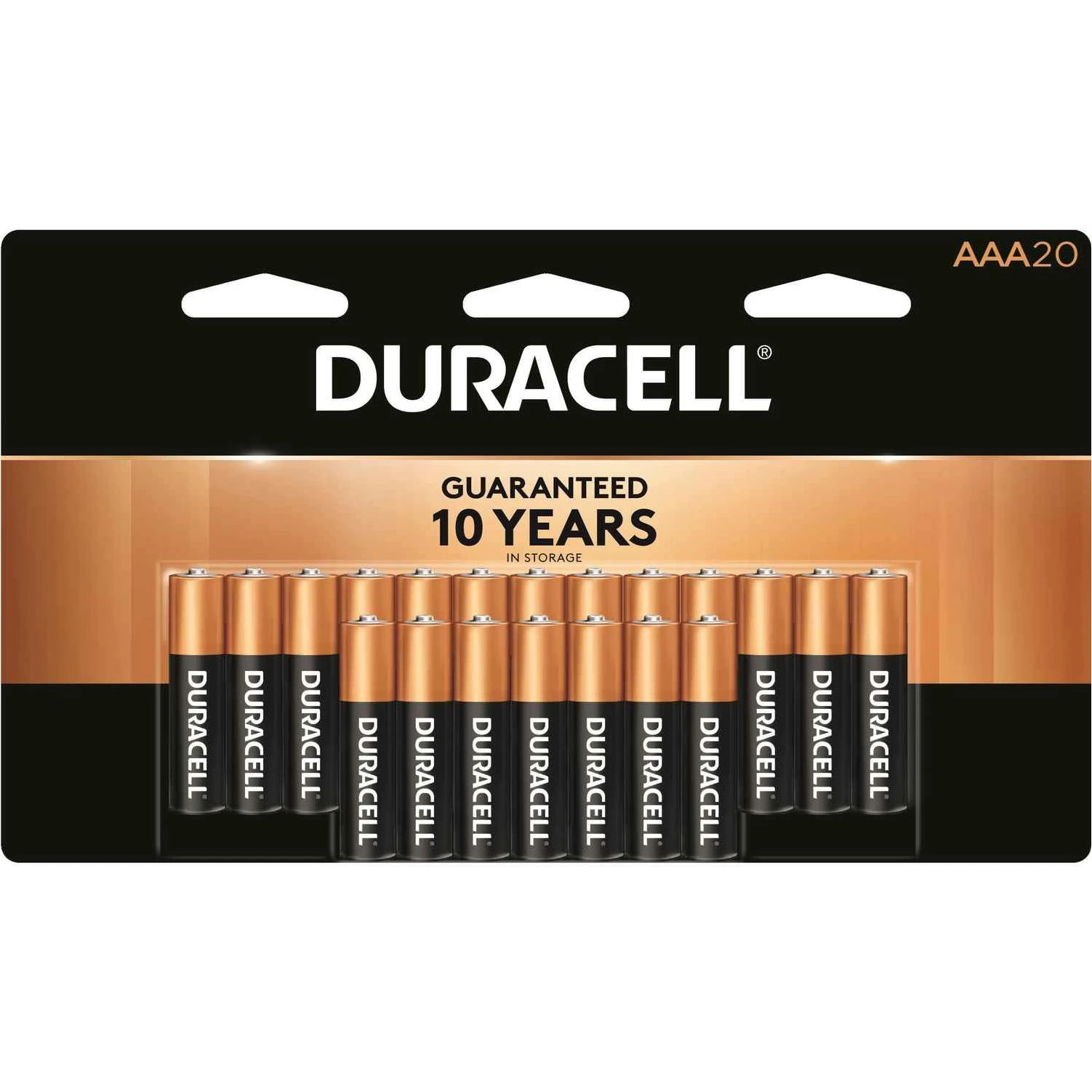 Duracell Coppertop AAA Alkaline Batteries 1.5 volt 20 pk Carded