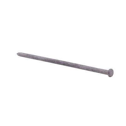 #3/8 x 8 in. Galvanized Steel Spike Nails (50 lb.-Box)