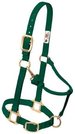 Adjustable Chin And Throat Snap Horse Halter-3/4" HG SUCKLING HALTER