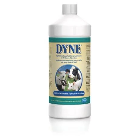 Dyne® High Calorie Liquid for Livestock, 32 oz.