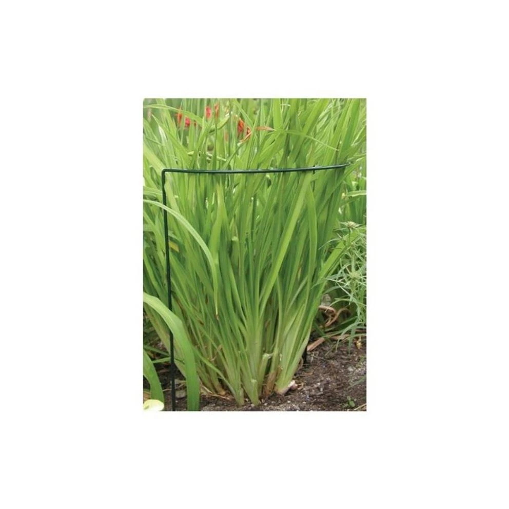 1025 Prop-ups Plant Support, 6 X 17 Inch, Set Of 12