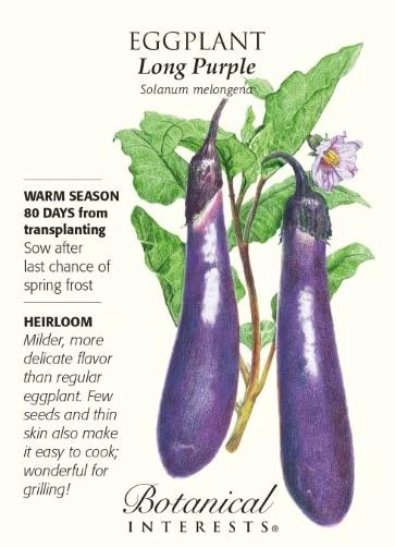 Heirloom Long Purple Eggplant Seeds - 500 Mg For Home Gardening