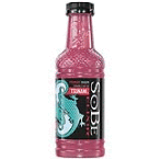 SOBE Elixir, Strawberry Daiquiri, 20 Ounce Bottle (Pack of 12)